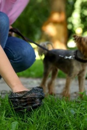 BUFFER® 10 Adet Evcil Hayvan Kullan At Kaka Poşeti