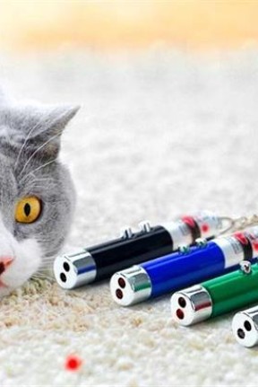 BUFFER®  3 Fonksiyonlu Kırmızı Beyaz Işıklı Led Lazer Kedi Köpek Oyuncak Anahtarlık BUFFER®  3 Fonksiyonlu Kırmızı Beyaz Işıklı Led Lazer Kedi Köpek Oyuncak Anahtarlık