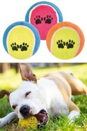 BUFFER®  3lü Renkli Desenli Tenis Topu Kedi Köpek Oyuncağı
