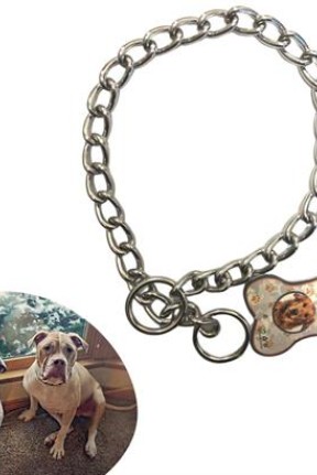 BUFFER® 65 cm Uzunlukta Zincir Model Köpek İçin Boyun Tasması BUFFER® 65 cm Uzunlukta Zincir Model Köpek İçin Boyun Tasması
