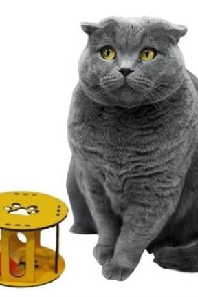 BUFFER® Ahşap Kafes Renkli Toplu Kedi Patisi Desenli Sesli Kedi Oyuncağı BUFFER® Ahşap Kafes Renkli Toplu Kedi Patisi Desenli Sesli Kedi Oyuncağı