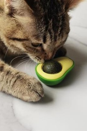 BUFFER® Avokado Model Yapışkanlı Kedi Oyuncağı Yenilebilir Kedi Nanesi Otu
