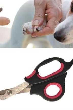 Buffer Büyük Irk Köpek Kedi Çelik Uçlu Evcil Hayvan Tırnak Makası Pati Bakım Aleti Ergonomik Kaymaz Buffer Büyük Irk Köpek Kedi Çelik Uçlu Evcil Hayvan Tırnak Makası Pati Bakım Aleti Ergonomik Kaymaz