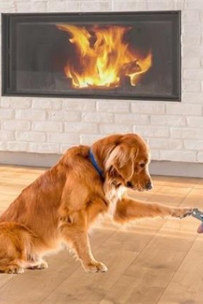 BUFFER® Evcil Hayvan Kedi ve Köpek Paslanmaz Çelik Yaylı Tırnak Makası ve Düzeltme BUFFER® Evcil Hayvan Kedi ve Köpek Paslanmaz Çelik Yaylı Tırnak Makası ve Düzeltme