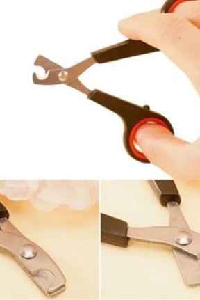 BUFFER® Evcil Hayvan Tırnak Makası Ve Törpü Seti Manikür Pedikür Pati Bakım Aleti Kaymaz Sap BUFFER® Evcil Hayvan Tırnak Makası Ve Törpü Seti Manikür Pedikür Pati Bakım Aleti Kaymaz Sap