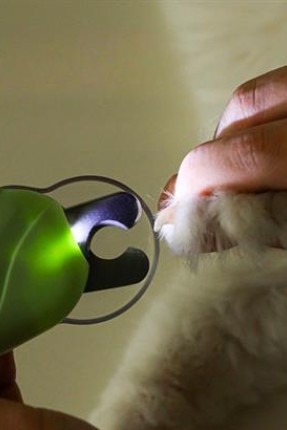 BUFFER®  Evcil Hayvanlar İçin Ledli Törpü Detaylı Tırnak Çakısı Makası