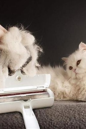 BUFFER® Hazneli Kedi Köpek Evcil Hayvan Kazak Kıyafet Elbise Halı Yatak Tüy Temizleyici Kıl Toz  Top BUFFER® Hazneli Kedi Köpek Evcil Hayvan Kazak Kıyafet Elbise Halı Yatak Tüy Temizleyici Kıl Toz  Top