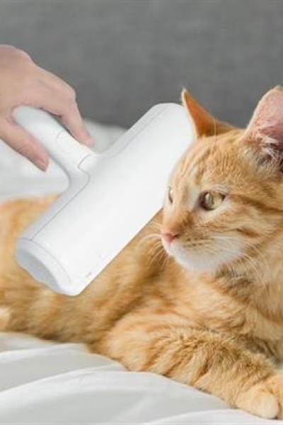 BUFFER® Hazneli Kedi Köpek Evcil Hayvan Kazak Kıyafet Elbise Halı Yatak Tüy Temizleyici Kıl Toz  Top