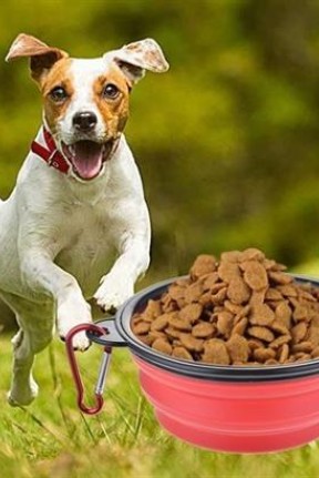 BUFFER® Katlanabilir Kedi Köpek Mama ve Su Kabı Köpek Oyuncağı BUFFER® Katlanabilir Kedi Köpek Mama ve Su Kabı Köpek Oyuncağı
