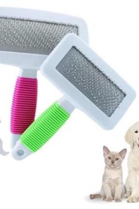 BUFFER® Kedi Köpek Telli Küçük Boy Tüy Bakım Seti Evcil Hayvan Tarama Fırçası BUFFER® Kedi Köpek Telli Küçük Boy Tüy Bakım Seti Evcil Hayvan Tarama Fırçası