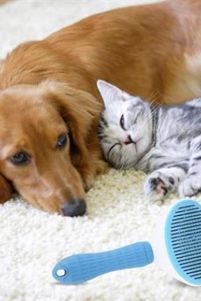 BUFFER® Kedi Köpek Tüy Toplayıcı Kendini Temizleyebilen Ergonomik Saplı Evcil Hayvan Tarağı Mavi BUFFER® Kedi Köpek Tüy Toplayıcı Kendini Temizleyebilen Ergonomik Saplı Evcil Hayvan Tarağı Mavi