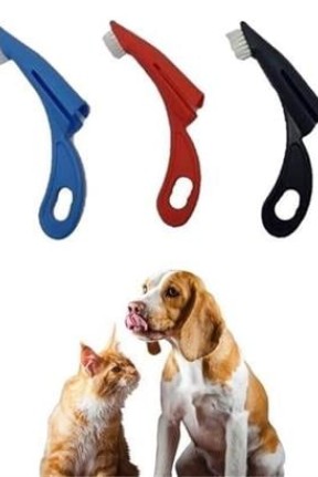 BUFFER®  Kedi ve Köpek Parmak Geçmeli Diş Bakım Fırçası Evcil Hayvan Diş Tartar Plak Temizleme BUFFER®  Kedi ve Köpek Parmak Geçmeli Diş Bakım Fırçası Evcil Hayvan Diş Tartar Plak Temizleme