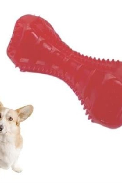 BUFFER® Köpekler İçin Diş Kaşıma Oyuncağı Tırtıklı Yapıda Plastik Dumbell