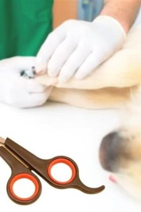 Buffer Küçük Çelik Uçlu Kedi Köpek Evcil Hayvan Tırnak Makası Pati Bakım Aleti Ergonomik Kaymaz Sap