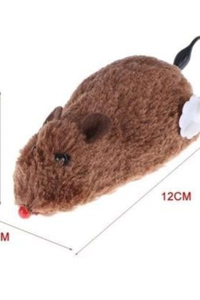 BUFFER® Kurmalı Kedi Eğitim Oyuncağı Tüylü Peluş Fare Yakalama İnteraktif Sevimli Eğlenceli Oyuncak BUFFER® Kurmalı Kedi Eğitim Oyuncağı Tüylü Peluş Fare Yakalama İnteraktif Sevimli Eğlenceli Oyuncak