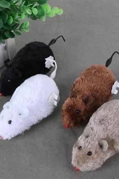 BUFFER® Kurmalı Kedi Eğitim Oyuncağı Tüylü Peluş Fare Yakalama İnteraktif Sevimli Eğlenceli Oyuncak BUFFER® Kurmalı Kedi Eğitim Oyuncağı Tüylü Peluş Fare Yakalama İnteraktif Sevimli Eğlenceli Oyuncak