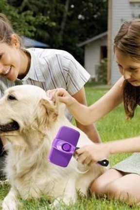 BUFFER®  Otomatik Temizlenebilen Tuşlu Pratik Kedi Köpek Tüy Toplama Fırçası BUFFER®  Otomatik Temizlenebilen Tuşlu Pratik Kedi Köpek Tüy Toplama Fırçası