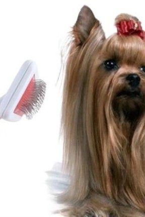 BUFFER® Paslanmaz Evcil Hayvan Kedi Köpek Tüy Tarama Toplama Fırçası Kolay Temizlenir Bakım Aleti BUFFER® Paslanmaz Evcil Hayvan Kedi Köpek Tüy Tarama Toplama Fırçası Kolay Temizlenir Bakım Aleti