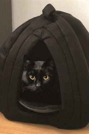 BUFFER® Pet Hut Polar Kedi ve Köpek Yatağı - Siyah BUFFER® Pet Hut Polar Kedi ve Köpek Yatağı - Siyah