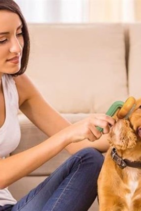 BUFFER Plastik Beyaz Evcil Hayvan Bakım  Pet Fırçası Çok Amaçlı Pet Fırçası Beyaz