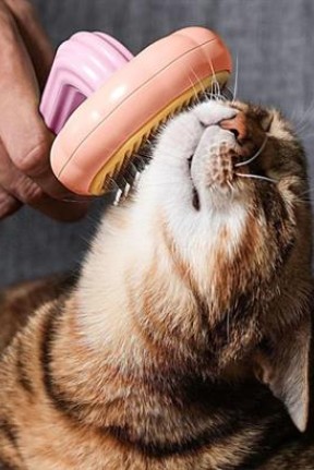 BUFFER Plastik Pembe Evcil Hayvan Bakım  Pet Fırçası Çok Amaçlı Pet Fırçası Pembe BUFFER Plastik Pembe Evcil Hayvan Bakım  Pet Fırçası Çok Amaçlı Pet Fırçası Pembe