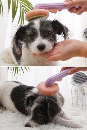 BUFFER Plastik Yeşil Evcil Hayvan Bakım  Pet Fırçası Çok Amaçlı Pet Fırçası Yeşil