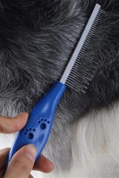 BUFFER® Tüy Açıcı Kedi Köpek Tarağı Tek Taraflı Metal Dişli Evcil Hayvan Bakım Fırçası BUFFER® Tüy Açıcı Kedi Köpek Tarağı Tek Taraflı Metal Dişli Evcil Hayvan Bakım Fırçası