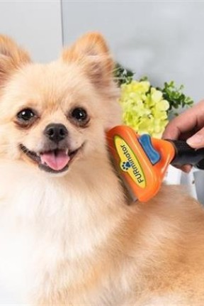 BUFFER® Uzun Tüylü Köpekler İçin Kolay Tarama Fırçası Temizlenebilir Çelik Tarak Tüy Toplayıcı Mediu BUFFER® Uzun Tüylü Köpekler İçin Kolay Tarama Fırçası Temizlenebilir Çelik Tarak Tüy Toplayıcı Mediu