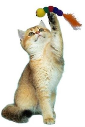 BUFFER® Yumuşacık İpli Tırtıl Şeklinde Rengarenk Sevimli Evcil Hayvan Oyuncağı BUFFER® Yumuşacık İpli Tırtıl Şeklinde Rengarenk Sevimli Evcil Hayvan Oyuncağı