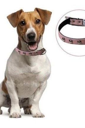 BUFFER® Yumuşak Dokulu Deri Köpek Gezdirme Boyun Tasması Medium BUFFER® Yumuşak Dokulu Deri Köpek Gezdirme Boyun Tasması Medium