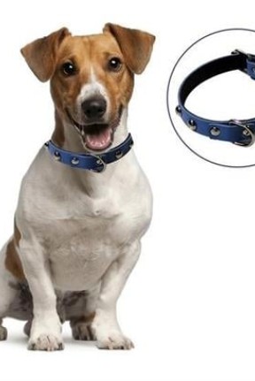BUFFER® Yumuşak Dokulu Deri Köpek Gezdirme Boyun Tasması (Large) BUFFER® Yumuşak Dokulu Deri Köpek Gezdirme Boyun Tasması (Large)